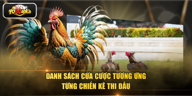 Danh sách cửa cược tương ứng từng chiến kê thi đấu Danh sách cửa cược tương ứng từng chiến kê thi đấu