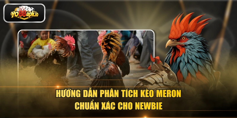 Hướng dẫn phân tích kèo Meron chuẩn xác cho newbie Hướng dẫn phân tích kèo Meron chuẩn xác cho newbie